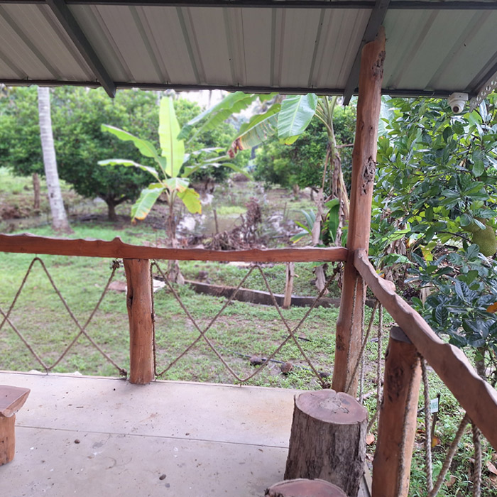 Dr senny's green farm, angamaly
