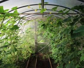 farm-stories-3